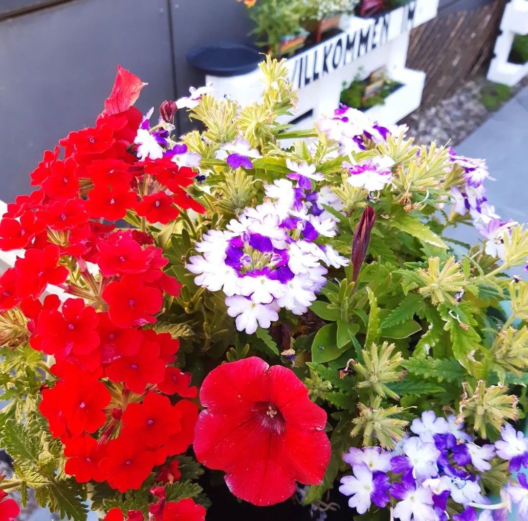 Screenshot 20240326 080212 Instagram